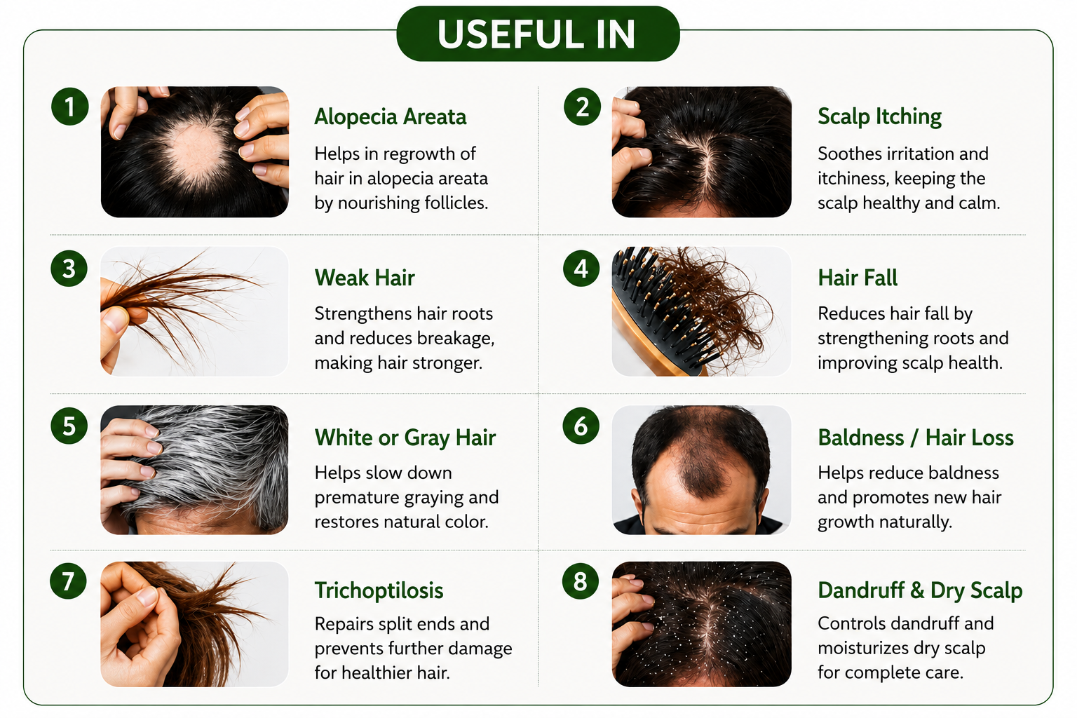 Dr. Zain Oil & Shampoo