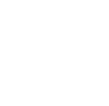 CONSULTATIVE CARE